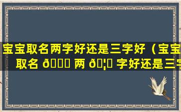 宝宝取名两字好还是三字好（宝宝取名 🍁 两 🦄 字好还是三字好呢）